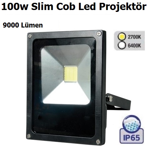 100w Slim Kasa Cob Led Projektör