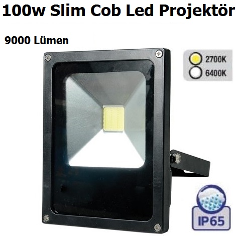 100w Slim Kasa Cob Led Projektr