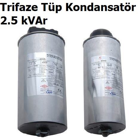 2.5 kVAr Trifaze Tp Kondansatr