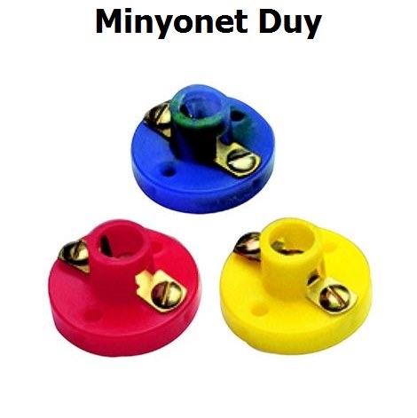 Minyonet Duy