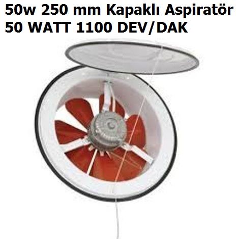 50w 250 mm Kapakl Aspiratr