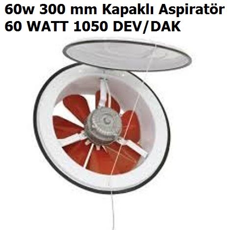 60w 300 mm Kapakl Aspiratr