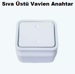 Sva st Vavien Anahtar