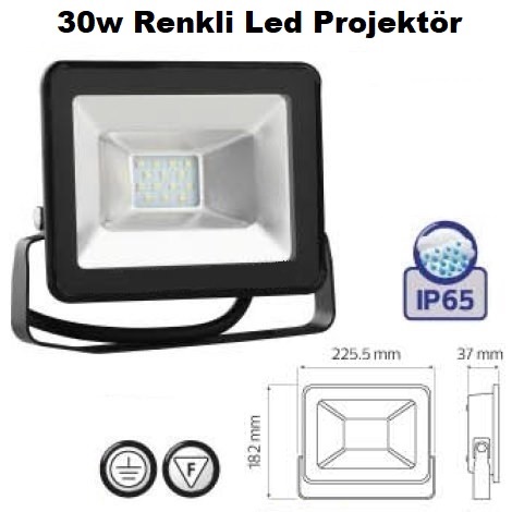 30w Renkli Led Projektr